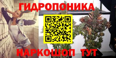 СК Коммунар