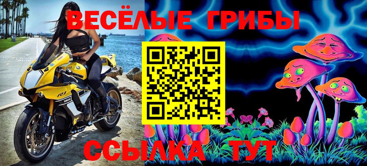 Псилоцибиновые грибы GOLDEN TEACHER Конаково