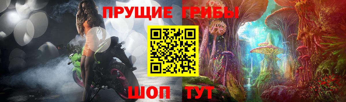 Псилоцибиновые грибы Psilocybine cubensis  Вход с VPN  Конаково 